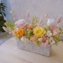 【永生花盆花】永生花/開幕盆栽/粉色/黃色/綠色/賀升遷 花禮