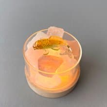 【聖誕新年禮物】小金魚香氛鹽燈 招財 | 願你有底氣 也有餘裕