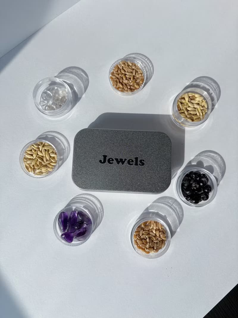 【Jewels Labs 水晶貓草DIY種植套組】- 辦公室小物 DIY植栽