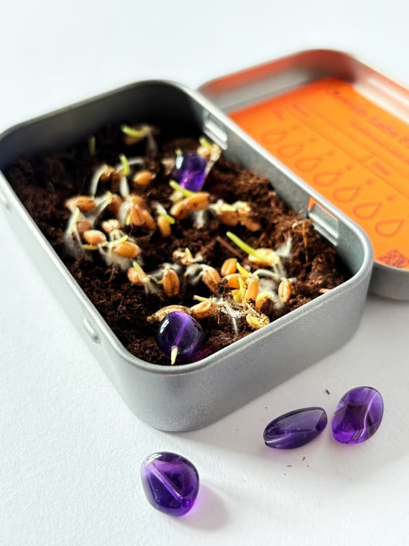 【Jewels Labs 水晶貓草DIY種植套組】- 辦公室小物 DIY植栽