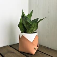 花盆套 // 皮革花盆套 // 喬遷 / 搬家禮物推薦 // 辦公桌點綴