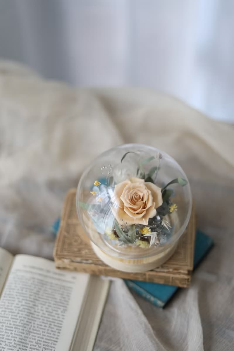 現貨 粉橘水晶泡泡球 / 永生花不凋花 乾燥花 玻璃鐘罩