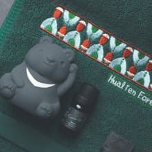 新品 | 熊炭吉－台灣黑熊竹炭擴香石禮盒 Feat.林業保育署花蓮分