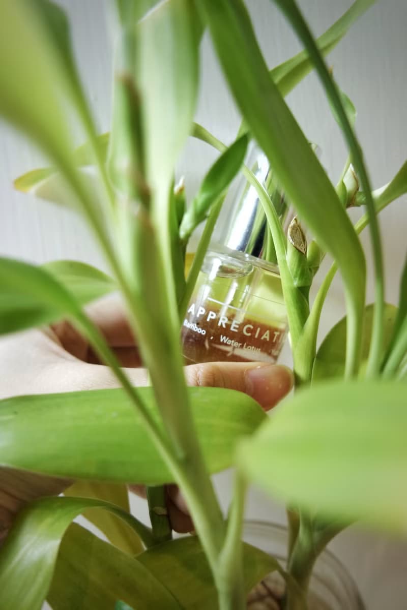 iinhale Appreciation 香水油 | 20ml