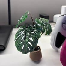 原創微縮龜背竹擺件