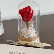 小王子的紅玫瑰 永生玫瑰玻璃花禮