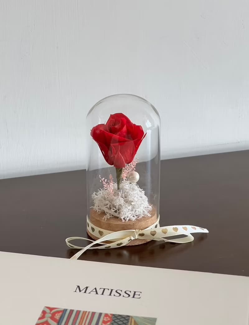 小王子的紅玫瑰 永生玫瑰玻璃花禮