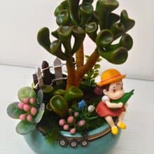 接單製作款/仿真盆栽多肉系列-筒葉花月(史瑞克)