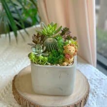 【開幕賀禮】水泥多肉組盆-方形款(2款可挑選).新居落成.升官喬遷