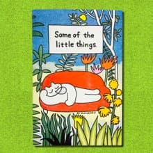 Some of the little things.