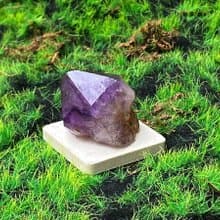 能量擺飾-天然紫晶骨幹 紫水晶 招財 智慧 開運 快速出貨