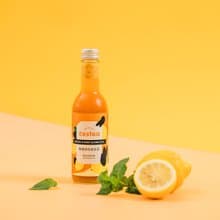 Zestea檸檬薄荷康普茶 300ML*12瓶 (無添加、富含益生菌)