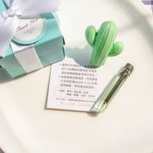 Tiffany盒仙人掌擴香石風口夾 婚禮小物 生日禮物 情人節 禮物