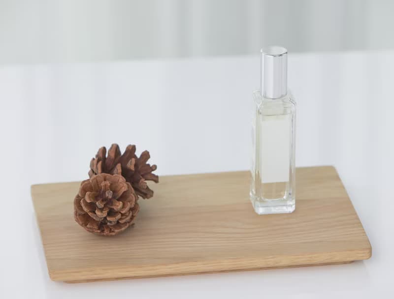 camino JOSE 小食原木起司盤 托盤 擺盤 展示盤 咖啡杯盤 香氛盤