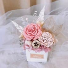 永生花盆花-浪漫輕甜粉 l 日本玫瑰 粉色永生盆花 升遷禮 開幕禮