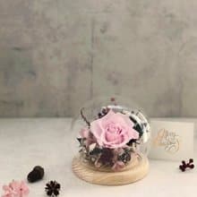 情人節精選禮物【粉紅泡泡】水晶球玻璃罩盅