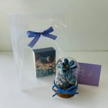 SLL關鍵字香膏 X Mei Story迷你永生花玻璃球 - 藍綠