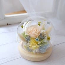 玻璃鐘罩/香檳色/不凋花/永生花/乾燥花/玫瑰/七夕/情人節