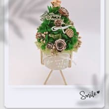 Christmas不凋花繡球聖誕樹乾燥擺飾
