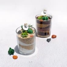多肉植物漸層蠟燭 | 手工仙人掌香氛蠟燭