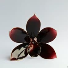 簪 黑蘭花 手工製作的 禮物 觀音 髮飾 金蘭花 水晶花 透明花