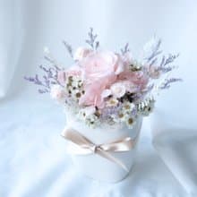 【小盆花】盆栽/粉色/不凋花/永生花/乾燥花/七夕/情人節