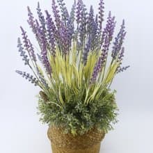 露營風薰衣草藤藍花禮 免運專人配送限雙北市 其餘地區需補運費