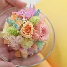 把最好的都給你 永生花系列作品  JOYFUL