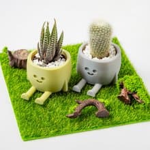 【療癒打印所】【多肉盆栽】可愛療癒花盆 小盆栽 多肉花盆