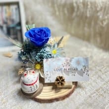 不凋玫瑰&乾燥花盆花 招財貓名片座 開幕/晉升/喬遷 祝賀盆花