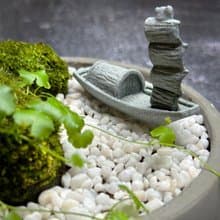 自然苔玉美學 –揚帆 / 侘寂風 / 禪風 / 盆栽 / 擺飾