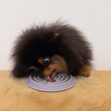 新品上市 - Lunoji 轉轉盤 Twirl - 舔食盤2.0