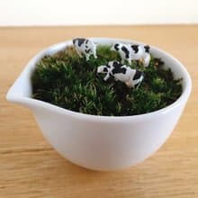 純自然 草原上的動物 乳牛 白瓷器 盆栽 苔 植物 微景觀 animal