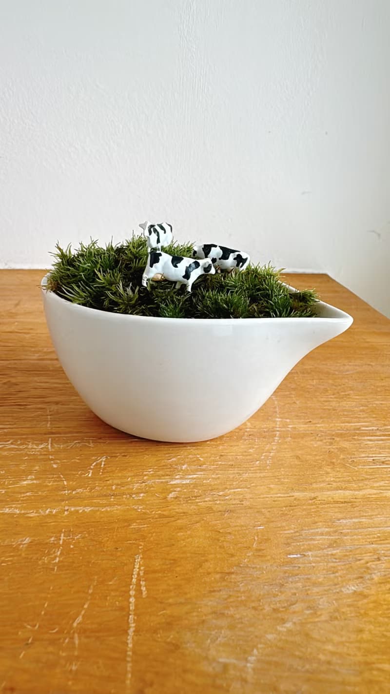 純自然 草原上的動物 乳牛 白瓷器 盆栽 苔 植物 微景觀 animal