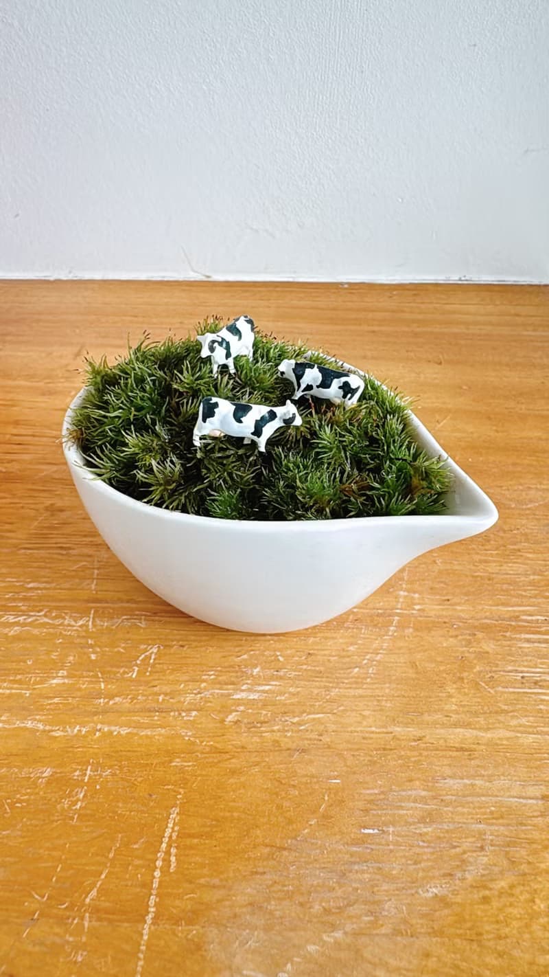 純自然 草原上的動物 乳牛 白瓷器 盆栽 苔 植物 微景觀 animal