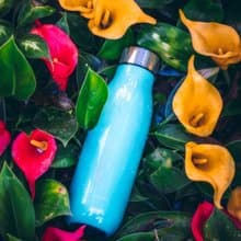 01LIV x wbottle 500ml不銹鋼雙層真空茶滤防漏保溫瓶環保杯藍色