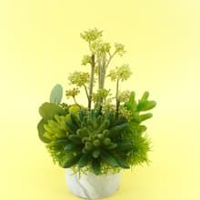 果實枝多肉組合香氛植物/擬真植物/人造盆栽/綠化/佈置/禮物