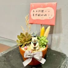 台中多肉組盆 多肉植物 日式枯山水 放鬆小白熊 療癒盆栽 生日禮