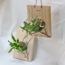 原生木植栽板