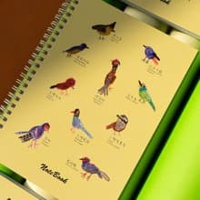 童趣插畫 台灣特有種鳥 筆記本 全館滿200元贈情人節小卡
