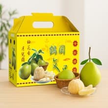 【愛不囉嗦】鶴岡文旦禮盒