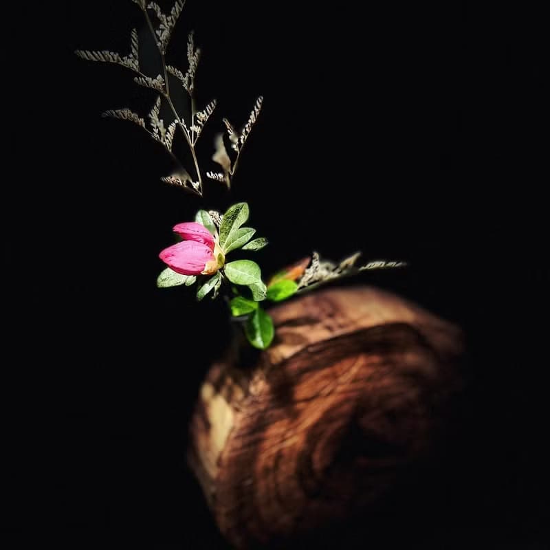 老家(花瓶)