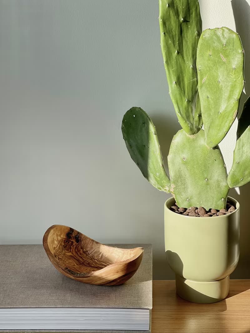 手工橄欖木船形置物碗