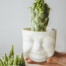 Laughing planter 可愛表情陶瓷器皿
