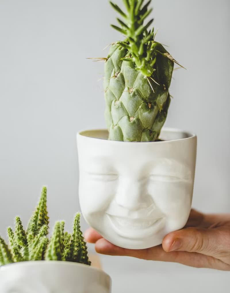 Laughing planter 可愛表情陶瓷器皿