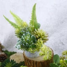 羊齒蕨多肉組合香氛植物/擬真植物/人造盆栽/綠化/佈置/禮物