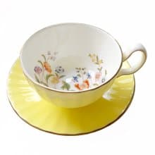英國Aynsley 小屋花園系列 骨瓷色釉奧本杯盤組150ml 3色任選