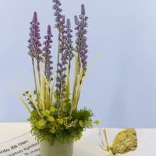 薰衣草日式陶盆香氛花禮/入厝禮/開幕/喬遷/送禮/植栽