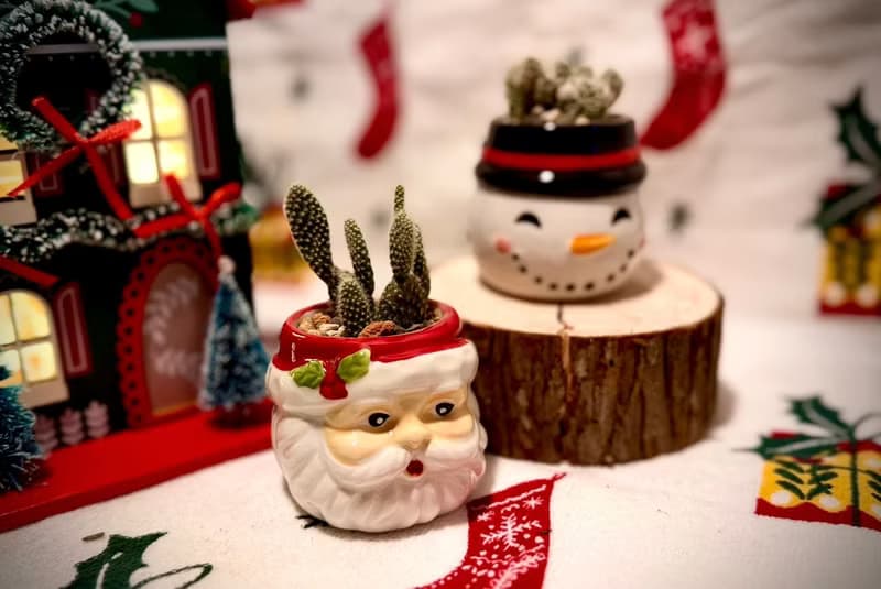 【Pinkoi瘋設祭限定】聖誕專屬_聖誕植感小陶盆系列
