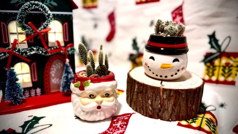 【Pinkoi瘋設祭限定】聖誕專屬_聖誕植感小陶盆系列